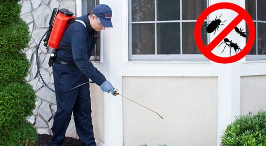 Hanak Akrep İlaçlama böcek ilaçlama ve haşere kontrolü — ilaclama-tr.com